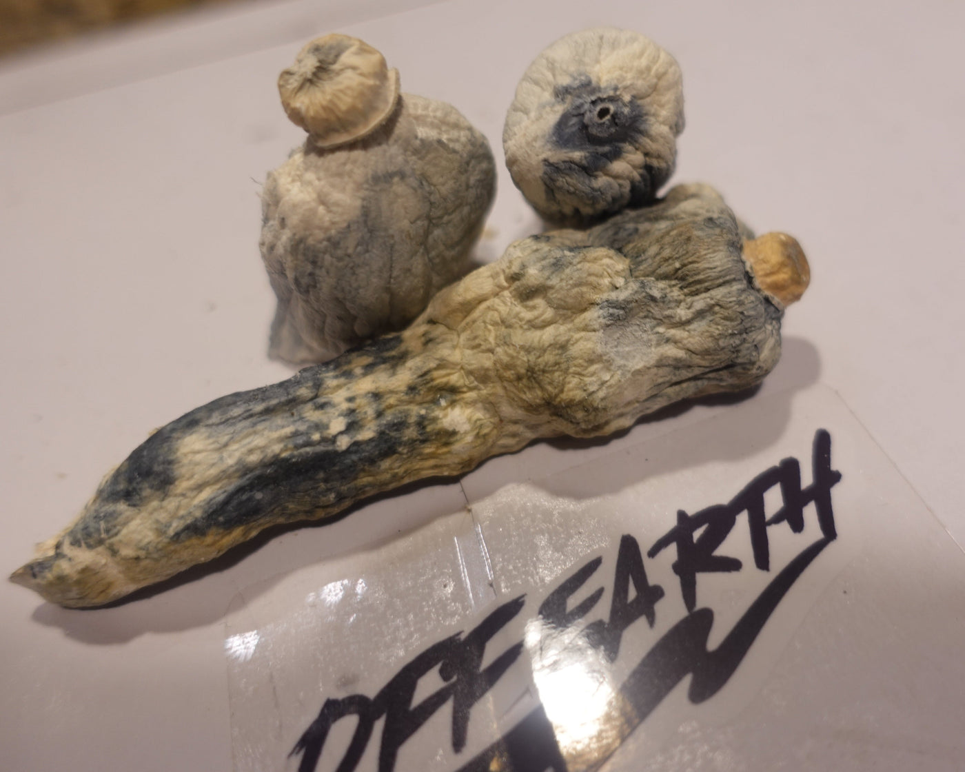 Psychedelic Mushroom Products