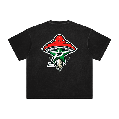 Stars,Hockey 
